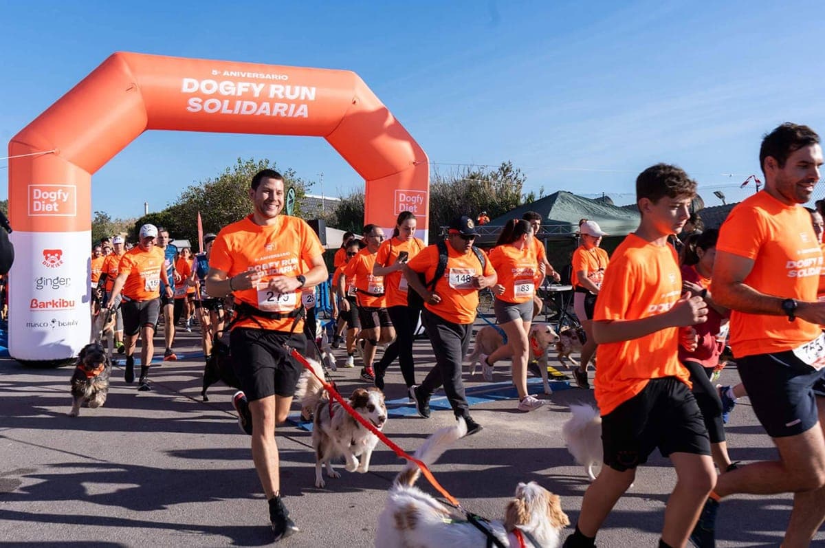 Dogfy Run Solidaria